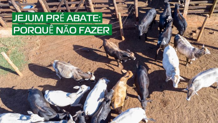 imagem capa do artigo sobre jejum pré-embarque