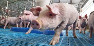 Imagem de capa do artigo sobre reposição hidroeletrolítica