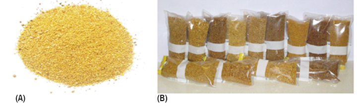 Figura 1. Grãos secos de destilaria com solúveis: (A) característica do produto; (B) variação de cor entre amostras (Silva et al., 2016).