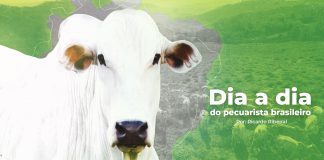 Capa do post sobre o pecuarista brasileiro