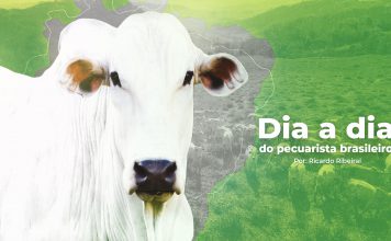 Capa do post sobre o pecuarista brasileiro