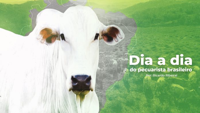 Capa do post sobre o pecuarista brasileiro