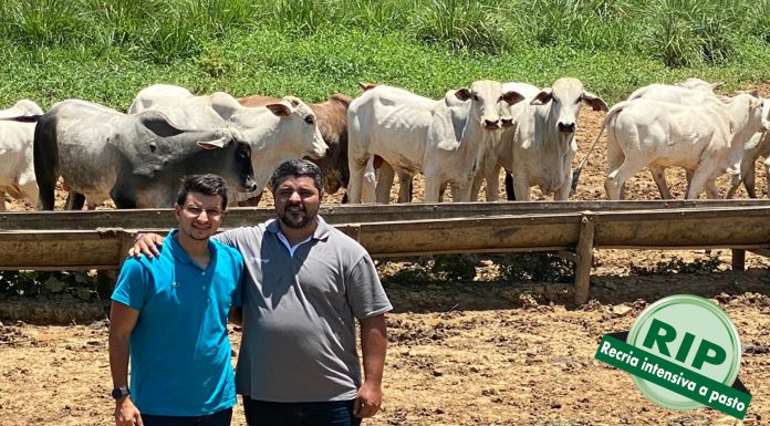 Uma história de sucesso: Grupo Cruzeiro do Sul