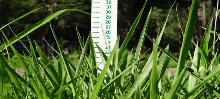 imagem que representa o artigo Geração agPastto: Por que e como calcular a massa de forragem?