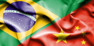 Capa do artigo sobre peste suína africana no Brasil. Capa que mostra a bandeira do Brasil e China