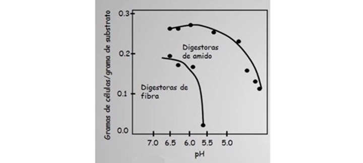 Gráfico mostrando gramas de células/gramas de substrato e pH de digestores de fibra e digestores de amido