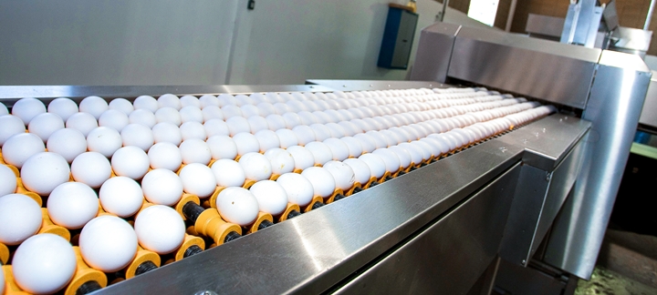 foto de ovos que faz parte do artigo sobre minerais organicos na casca do ovo