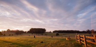 Capa do artigo sobre gestão de propriedade rural