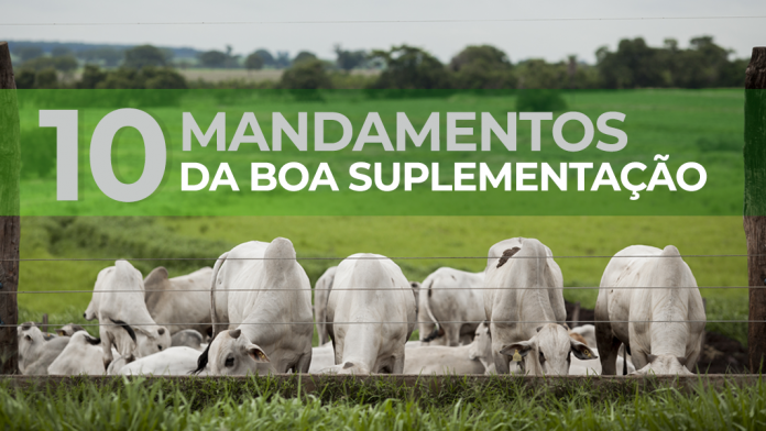 capa do artigo sobre os 10 mandamentos da boa suplementação de bovinos