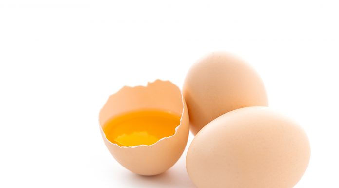 e-Book: A influência dos minerais orgânicos na qualidade da casca