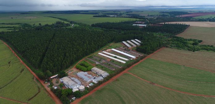 Localização do aviário