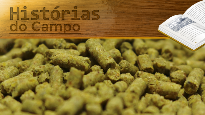 histórias do campo02 capa do artigo case de sucesso sobre as histórias do campo onde o dono de granja fez o uso da ração peletizada para maior conversão alimentar