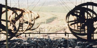 Capa do artigo com tema sobre resfriamento de vacas leiteiras