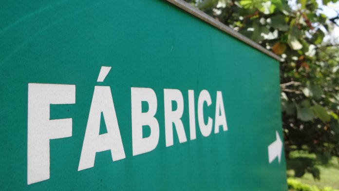 Capa do artigo sobre legislações na formulação de ração