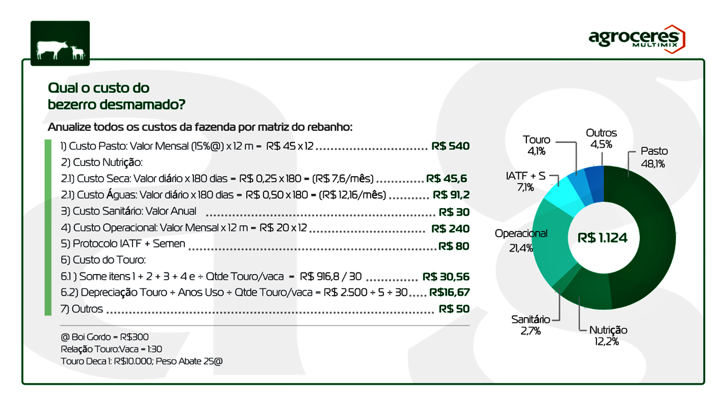 Informações sobre qual o custo do bezerro desmamado?  Pertencente ao artigo com tema sobre bezerra f1