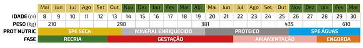 Tabela com informações sobre idade, peso, prot nutric e fase - bezerra f1
