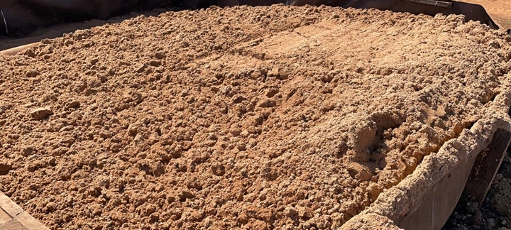 dieta de bovinos com alimento úmido