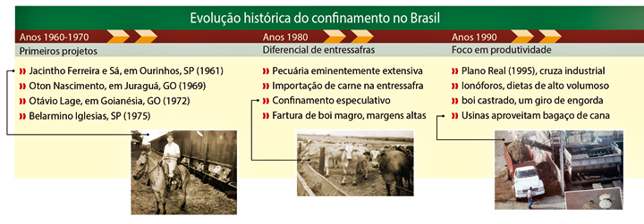 Tabela sobre a evolução histórica do confinamento no Brasil