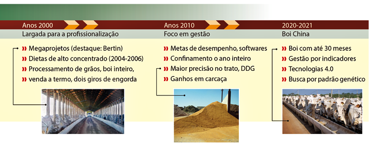 Tabela dos anos 2000, 2010, 2020 e 2021 com largada para profissionalização, foco em gestão e boi china
