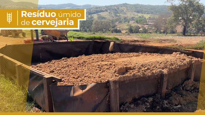 Capa do atigo sobre resíduo úmido de cervejaria