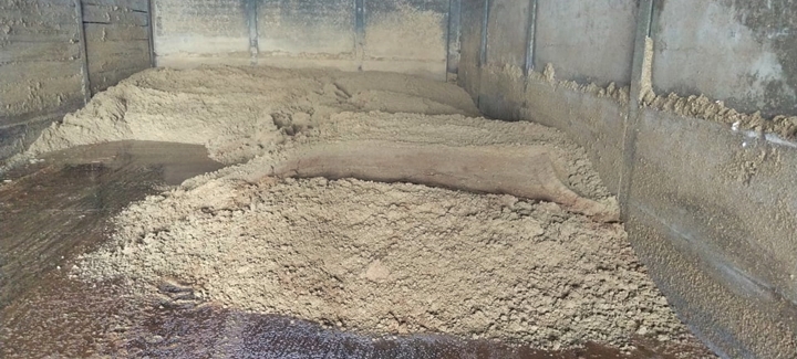 Foto de resíduo úmido de cervejaria