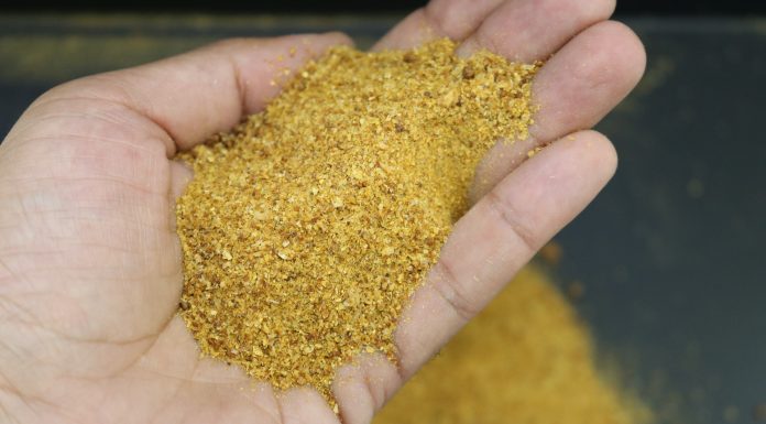 Capa DDG de milho na suinocultura