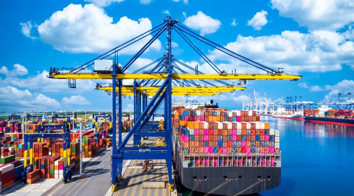 e-Book – Peste Suína Africana – PSA: O controle da doença e o impacto no mercado global