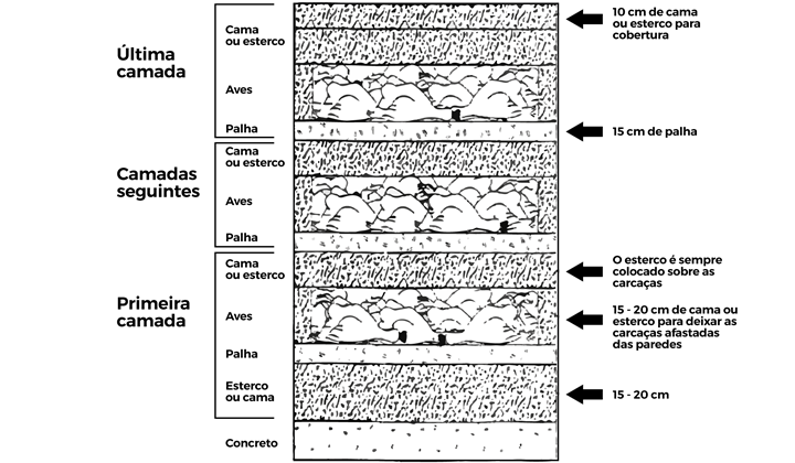 Figura 1. Esquematização das camadas de carcaça e fonte de carbono para a compostagem de aves mortas. Fonte: DE PAIVA (2004)