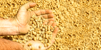 Boas Práticas de Fabricação