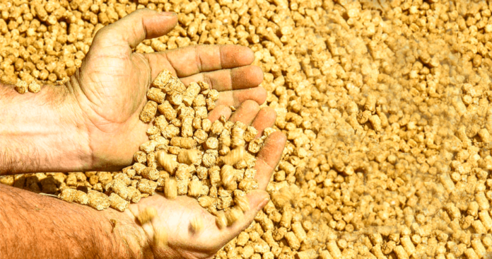 Boas Práticas de Fabricação