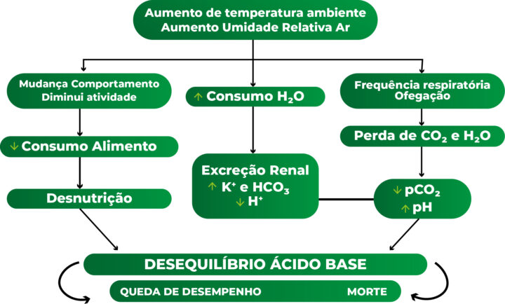 estresse calórico sódio e potássio