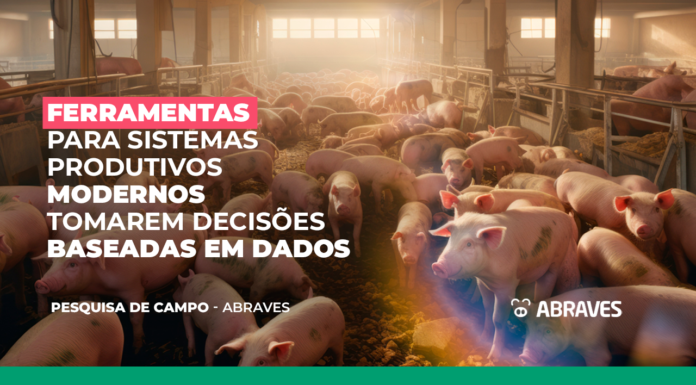 O ciclo virtuoso das decisões baseadas em dados na pesquisa de campo