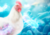A nutrição como aliada no combate a Salmonella