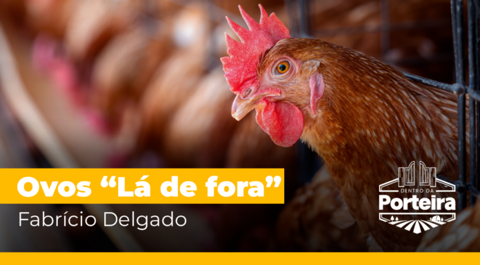 Fabrício Delgado e os ovos “Lá de Fora”