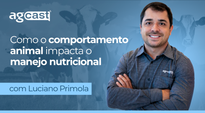 agCast | Como o comportamento animal impacta o manejo nutricional