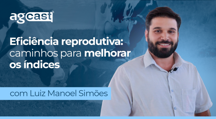 agCast | Eficiência reprodutiva: caminhos para melhorar os índices