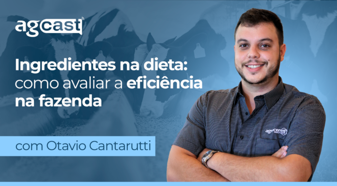agCast | Ingredientes na dieta: como avaliar a eficiência na fazenda