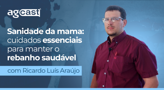 agCast | Sanidade da mama: cuidados essenciais para manter o rebanho saudável
