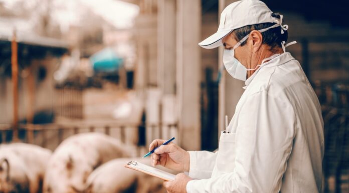 Como anda a biosseguridade da sua granja?