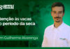agCast | Atenção às vacas no período da seca