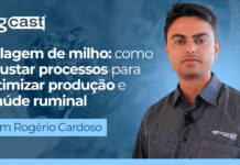 agCast | Silagem de milho: como ajustar processos para otimizar produção e saúde ruminal