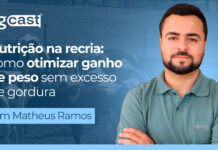 agCast | Nutrição na recria: como otimizar ganho de peso sem excesso de gordura