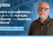 agCast | Rotina e consistência: o segredo da nutrição eficiente nas fazendas leiteiras