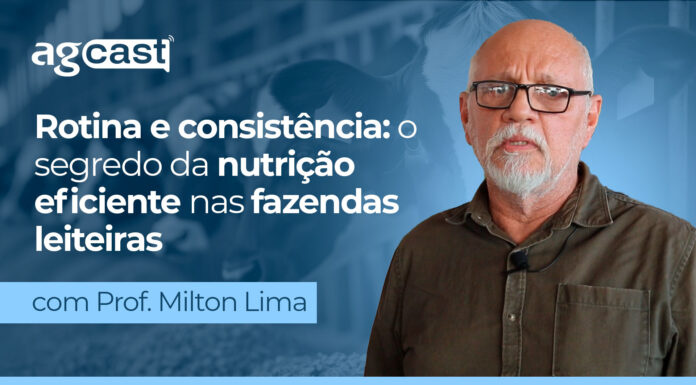 agCast | Rotina e consistência: o segredo da nutrição eficiente nas fazendas leiteiras