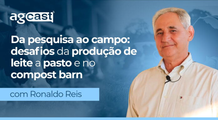 agCast | Da pesquisa ao campo: desafios da produção de leite a pasto e no compost barn