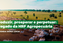 Sem margem para decisões “no escuro”