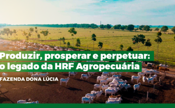 Sem margem para decisões “no escuro”