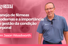 agCast | Manejo de fêmeas modernas e a importância da gestão da condição corporal