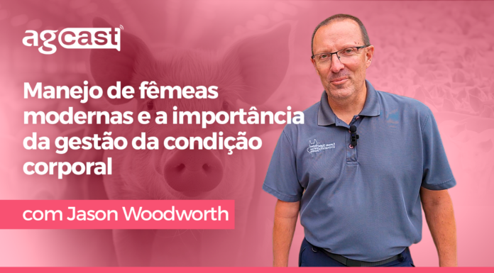 agCast | Manejo de fêmeas modernas e a importância da gestão da condição corporal