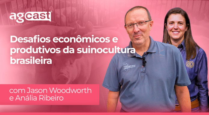 agCast | Desafios econômicos e produtivos da suinocultura brasileira